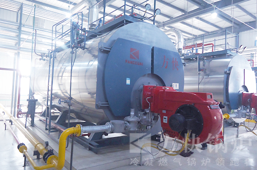 河北路易達孚飼料公司高效節能燃氣蒸汽鍋爐應用案例