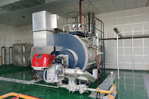 四川某環境科技公司一臺3噸歐瑞5鍋爐