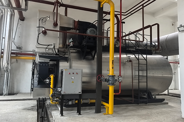 山西某制藥公司使用10噸鍋爐案例