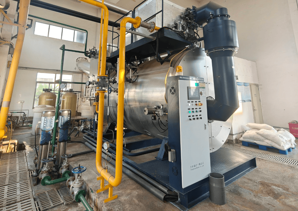 湖南某生物制藥公司使用方快鍋爐一臺6噸燃氣蒸汽鍋爐