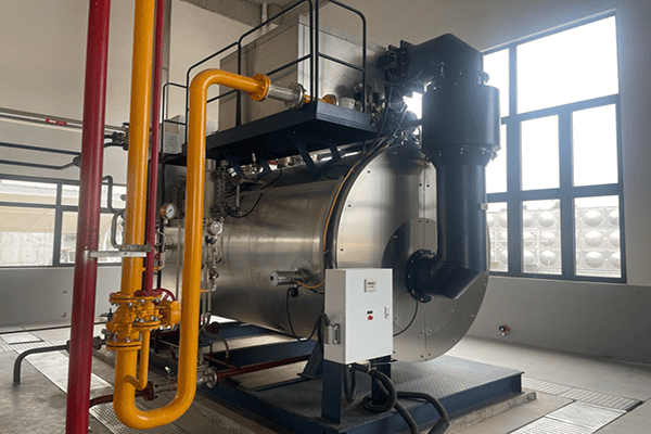 湖北某生物科技公司使用方快鍋爐一臺6噸燃氣蒸汽鍋爐案例