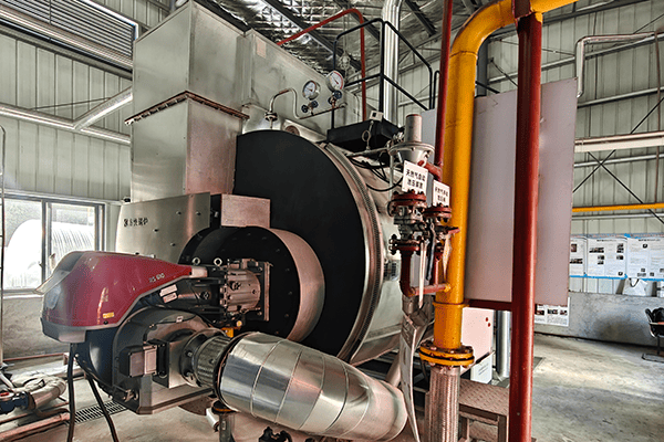 正清源畜牧實(shí)業(yè)有限公司使用方快鍋爐一臺6噸燃?xì)庹羝仩t案例