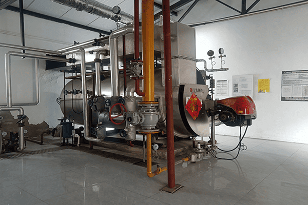 江蘇大信飼料有限公司一臺2噸燃氣蒸汽鍋爐案例