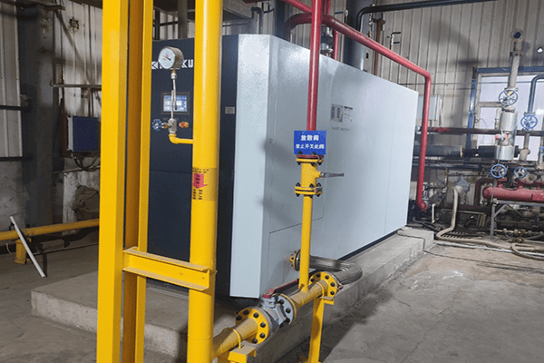  昌吉慧爾智聯生態有限公司使用方快鍋爐一臺4噸燃氣熱水鍋爐案例